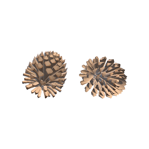 Pine cones